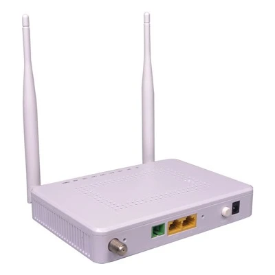 Fiber Ont